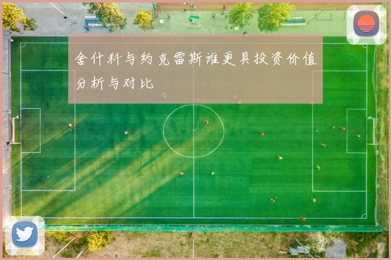 舍什科与约克雷斯谁更具投资价值分析与对比