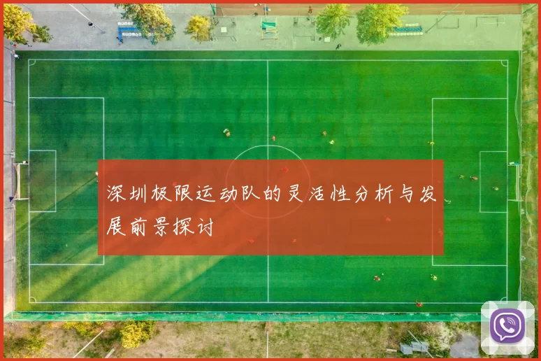 深圳极限运动队的灵活性分析与发展前景探讨