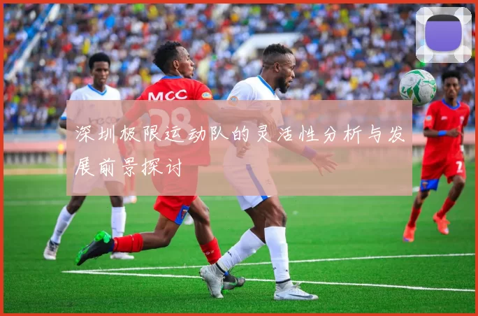 深圳极限运动队的灵活性分析与发展前景探讨