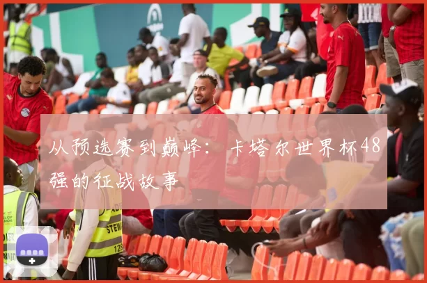 从预选赛到巅峰：卡塔尔世界杯48强的征战故事