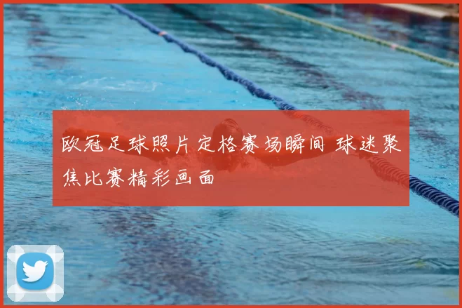 欧冠足球照片定格赛场瞬间 球迷聚焦比赛精彩画面