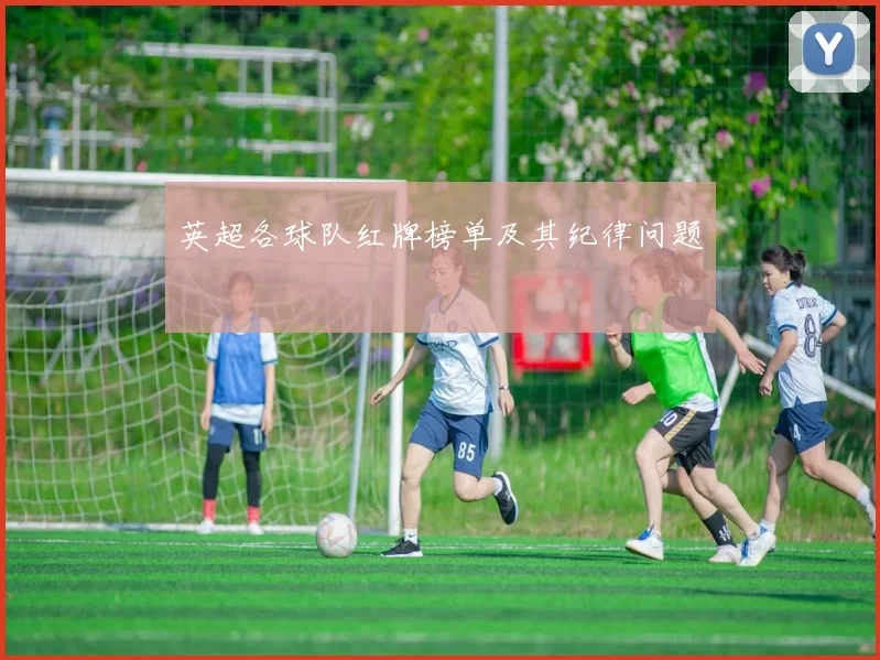 英超各球队红牌榜单及其纪律问题