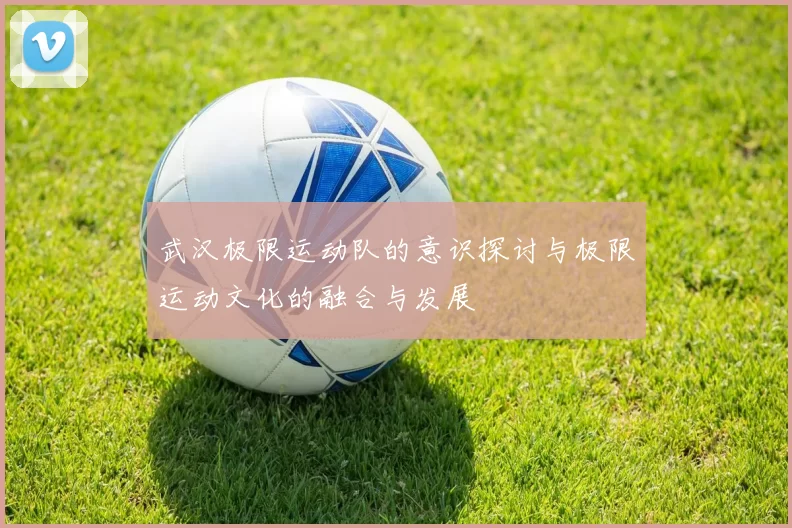 武汉极限运动队的意识探讨与极限运动文化的融合与发展