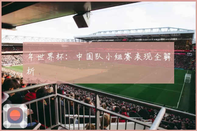 年世界杯:中国队小组赛表现全解析