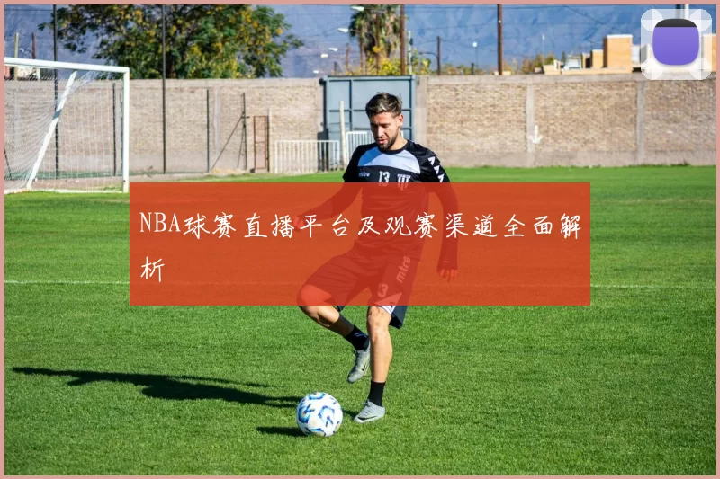 NBA球赛直播平台及观赛渠道全面解析