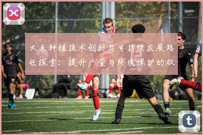 大米种植技术创新与可持续发展路径探索：提升产量与环境保护的双重挑战