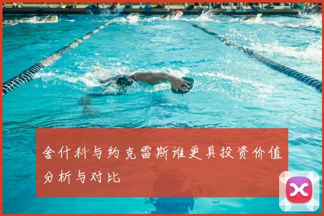 舍什科与约克雷斯谁更具投资价值分析与对比