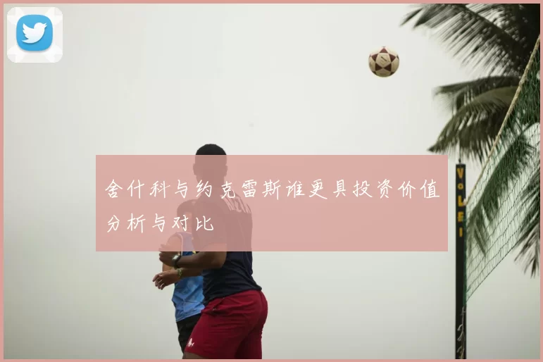 舍什科与约克雷斯谁更具投资价值分析与对比
