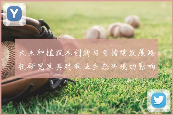 大米种植技术创新与可持续发展路径研究及其对农业生态环境的影响分析