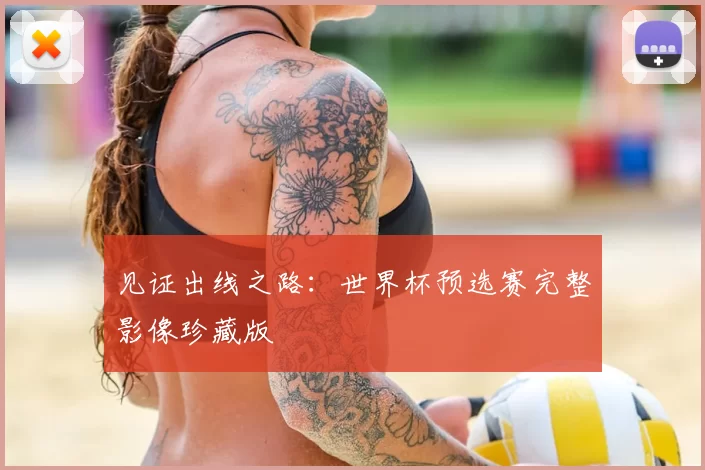 见证出线之路:世界杯预选赛完整影像珍藏版