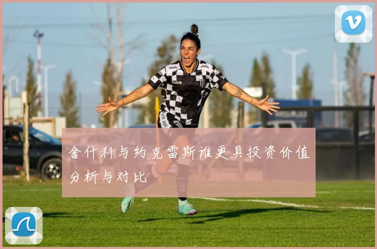 舍什科与约克雷斯谁更具投资价值分析与对比