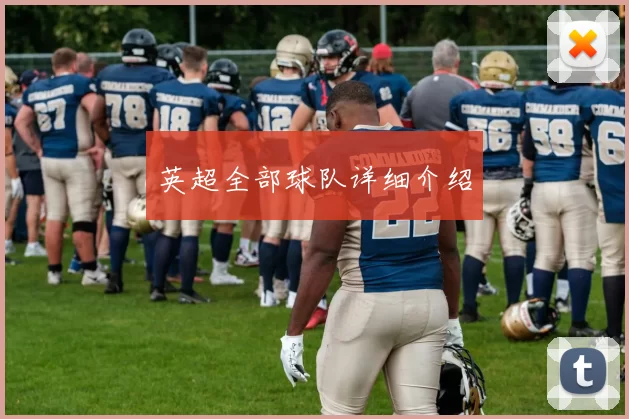 英超全部球队详细介绍