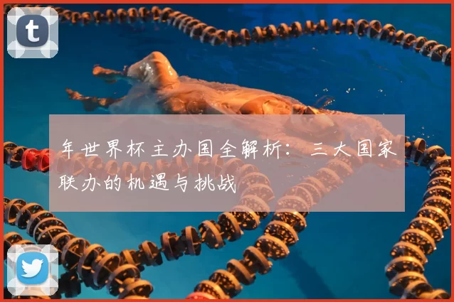 年世界杯主办国全解析:三大国家联办的机遇与挑战