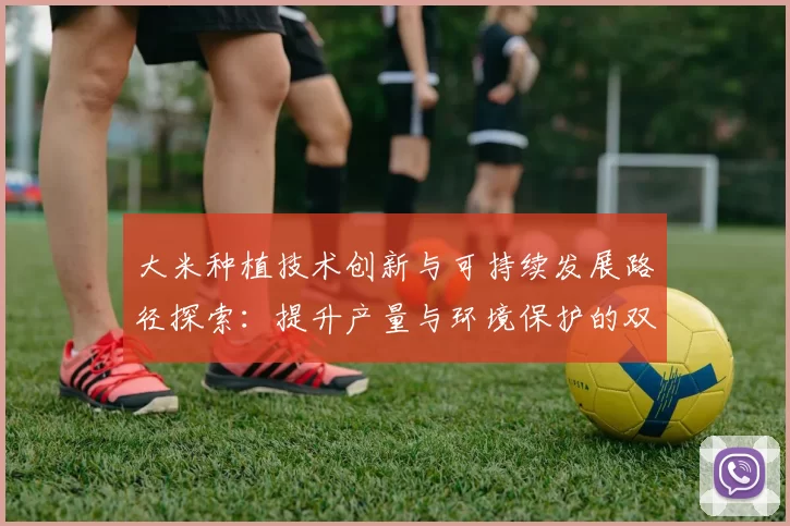 大米种植技术创新与可持续发展路径探索：提升产量与环境保护的双重挑战